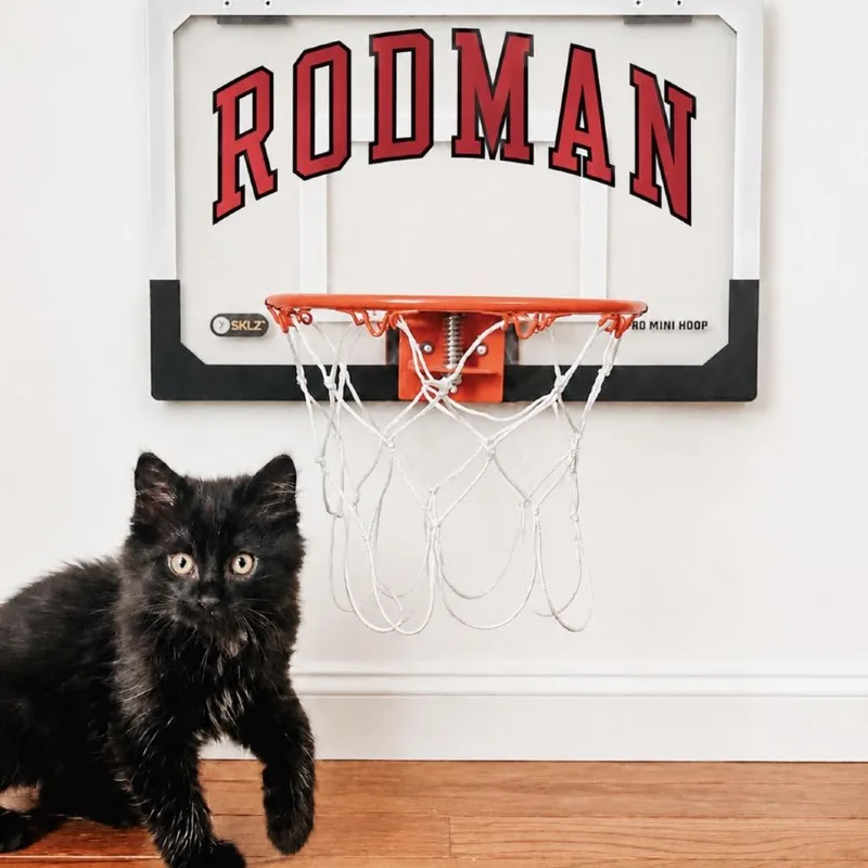 Rodman thumbnail 2