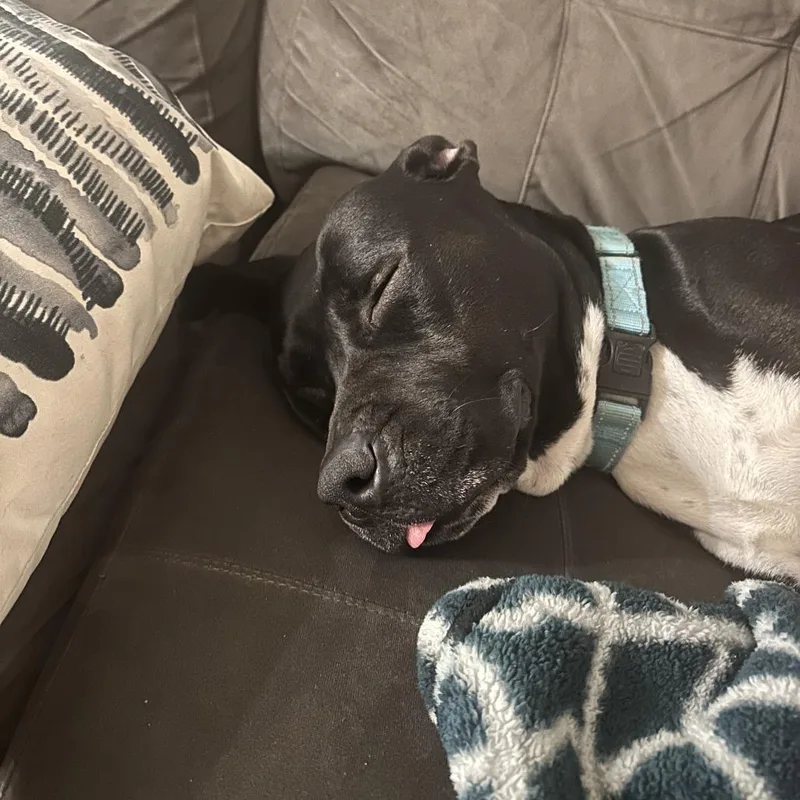 Pantalones thumbnail 2