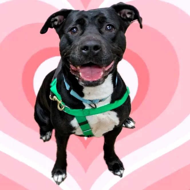 Pantalones thumbnail 3