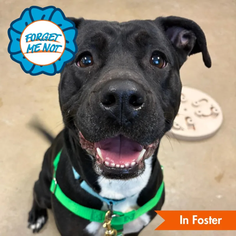 Pantalones thumbnail 4