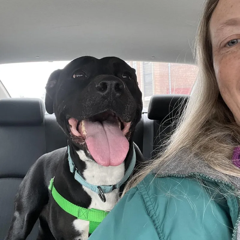 Pantalones thumbnail 5