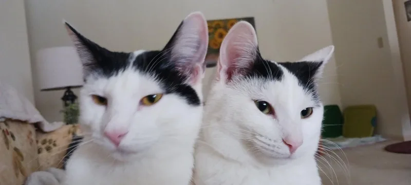Happy and Hannah thumbnail 2