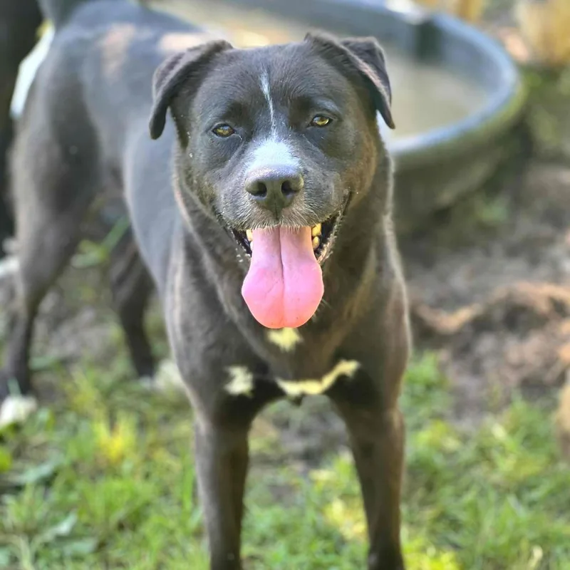 Oakley Stray Hold thumbnail 2