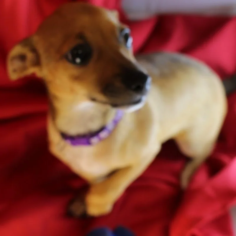 Morgan thumbnail 6