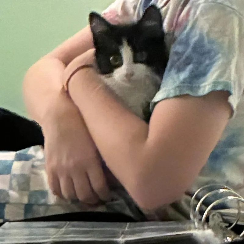 Delilah thumbnail 3