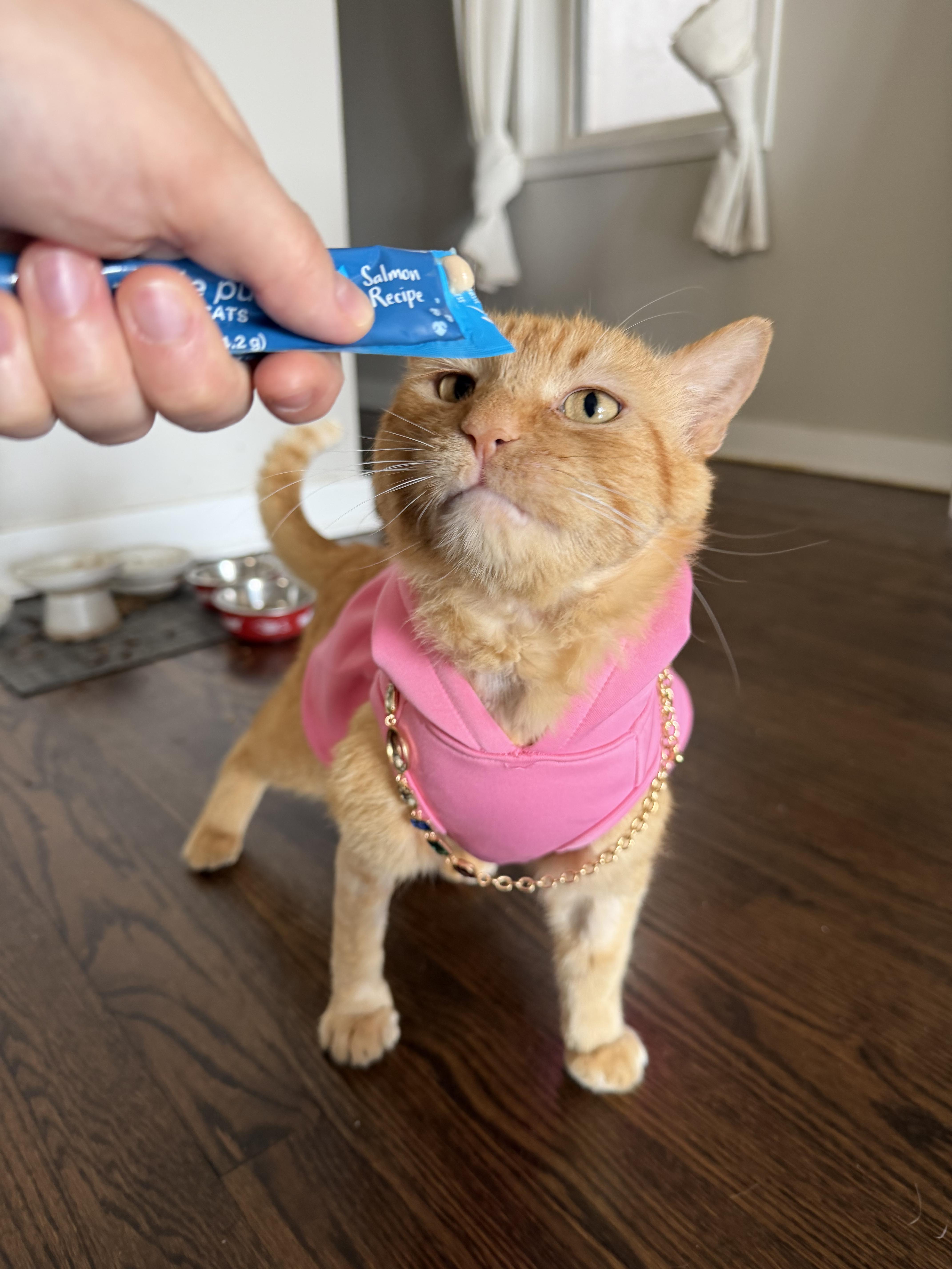Don Purrleone thumbnail 4