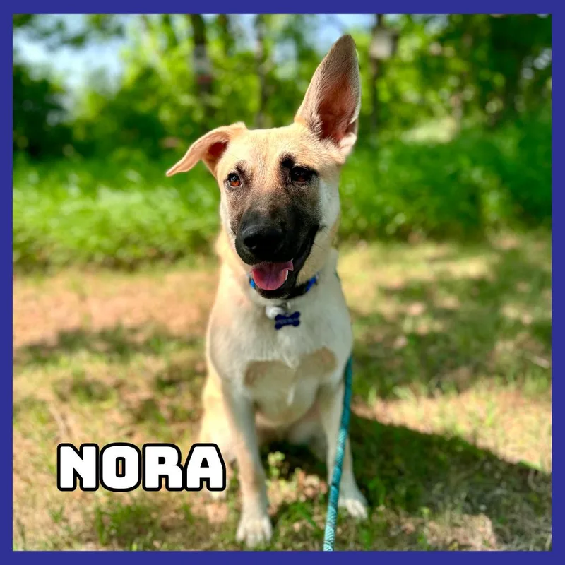 Nora