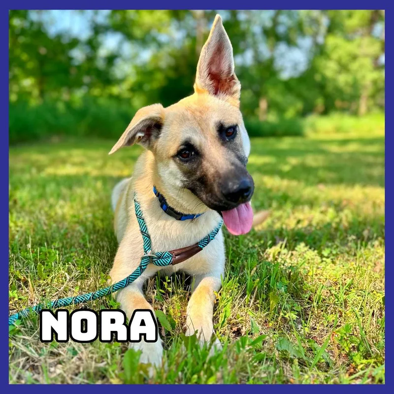 Nora thumbnail 2