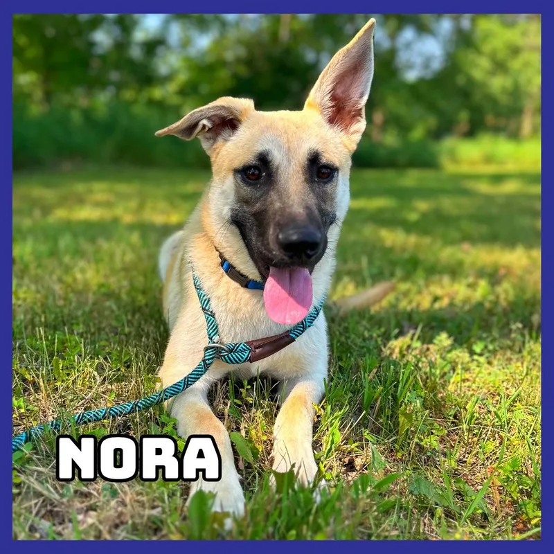 Nora thumbnail 3