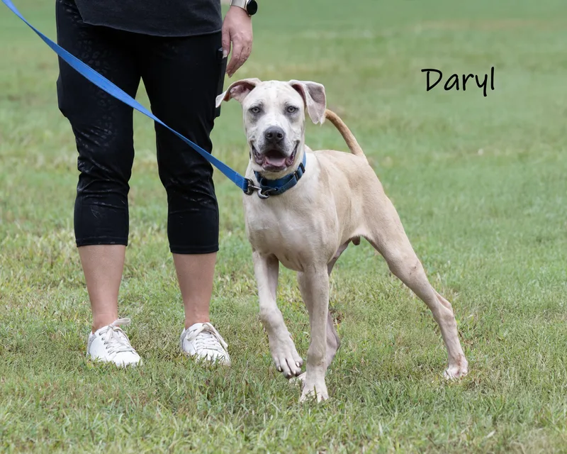 Daryl thumbnail 6