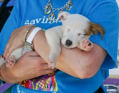 Nevada Pups: Nora thumbnail 3