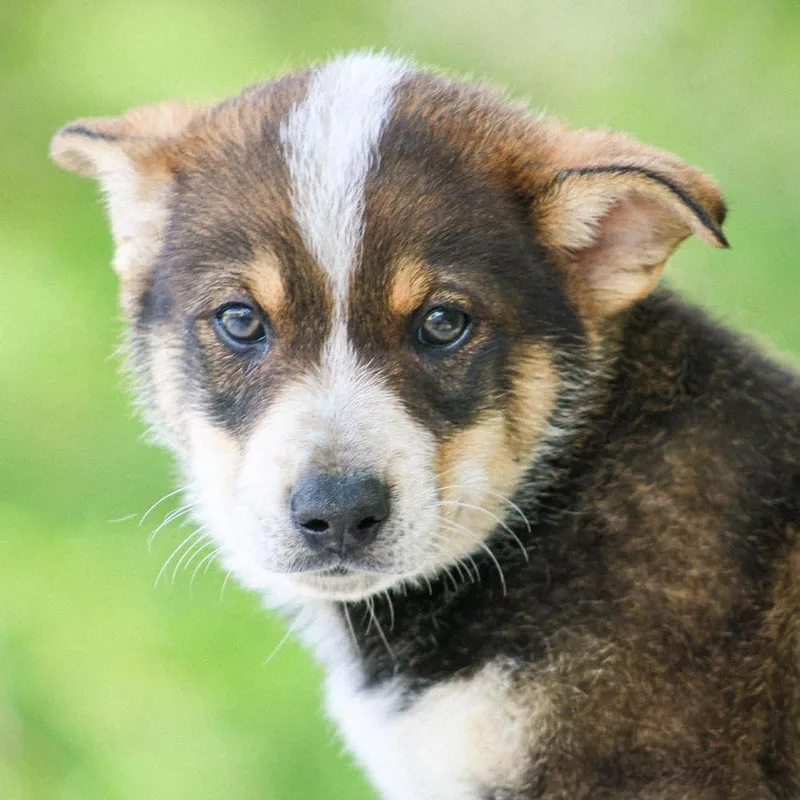 Dr. Robby thumbnail 3