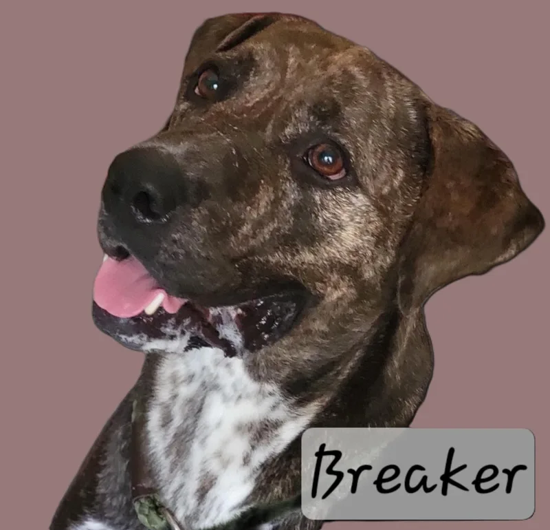 Breaker thumbnail 2