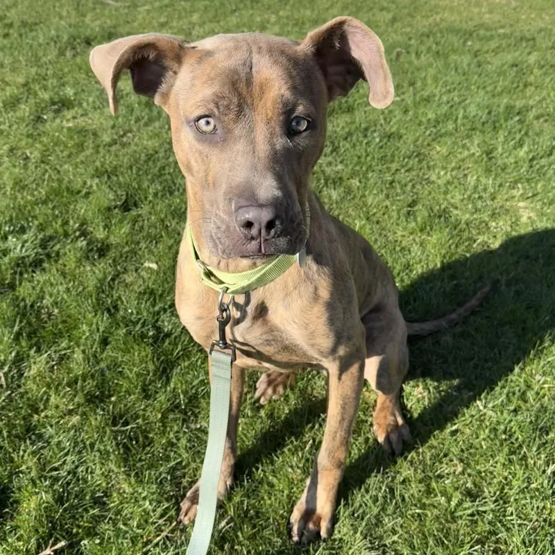 Tompkins thumbnail 3