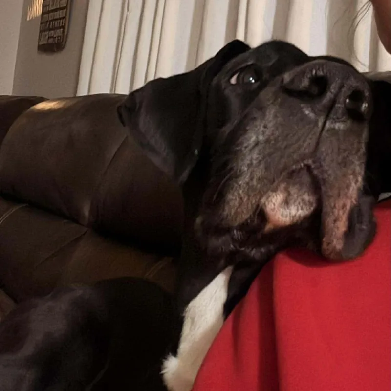 Sigourney thumbnail 2