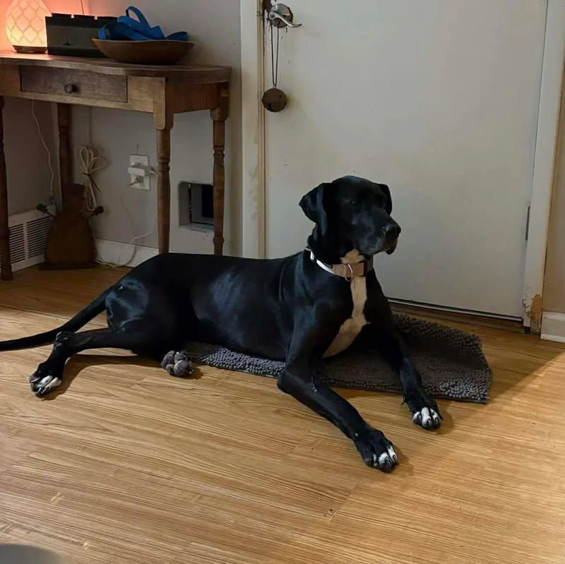 Sigourney thumbnail 3