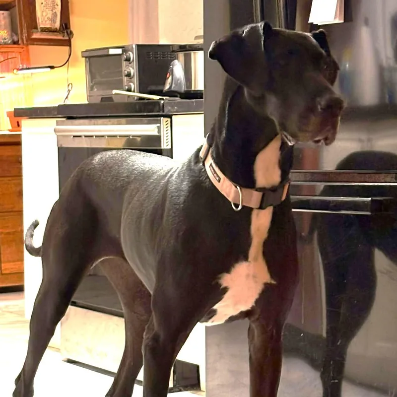 Sigourney thumbnail 4