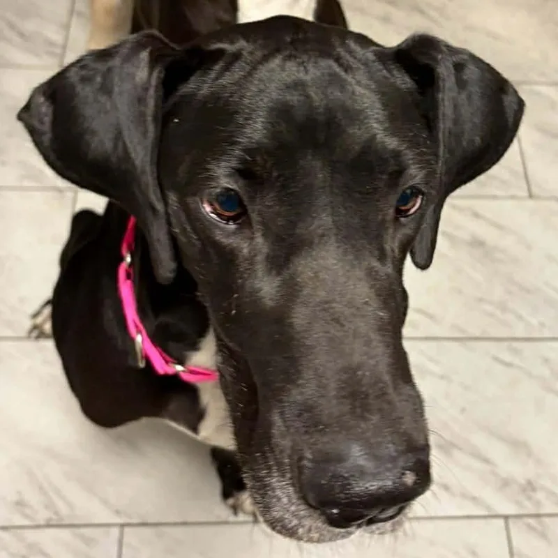 Sigourney thumbnail 5