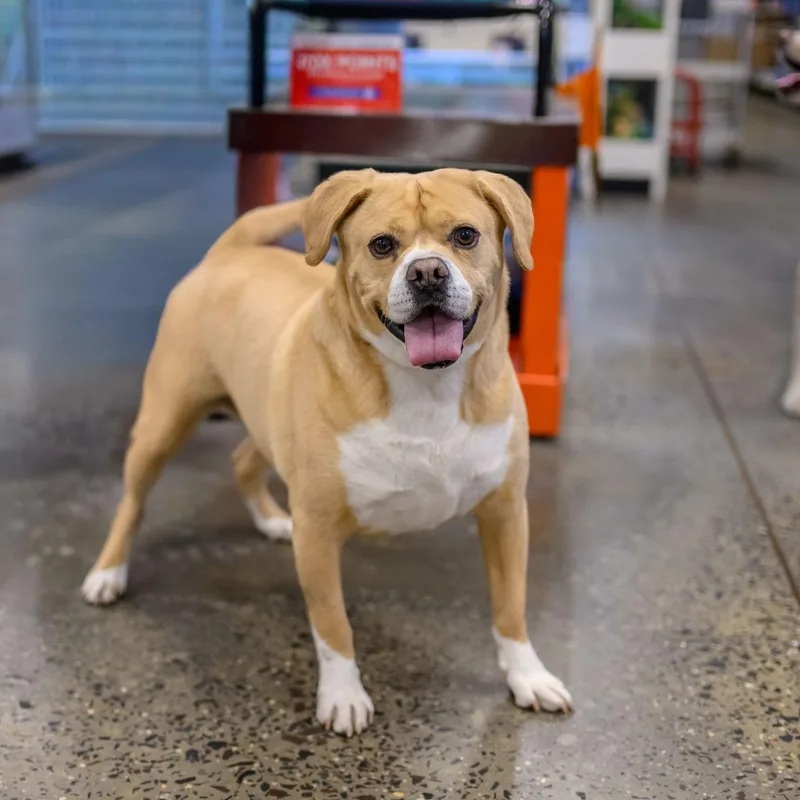 Wally & Junior thumbnail 2