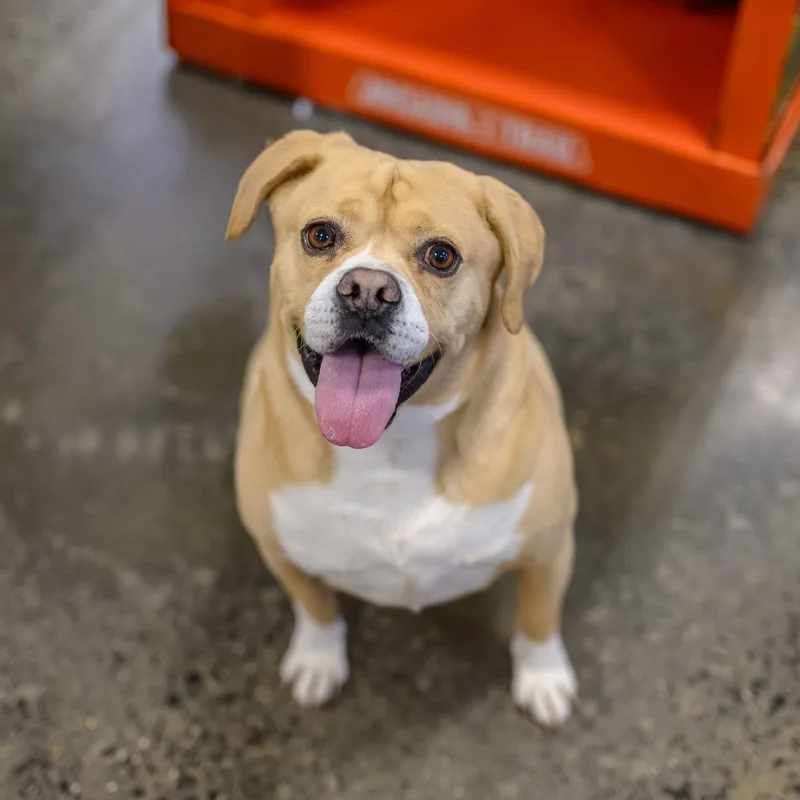 Wally & Junior thumbnail 4