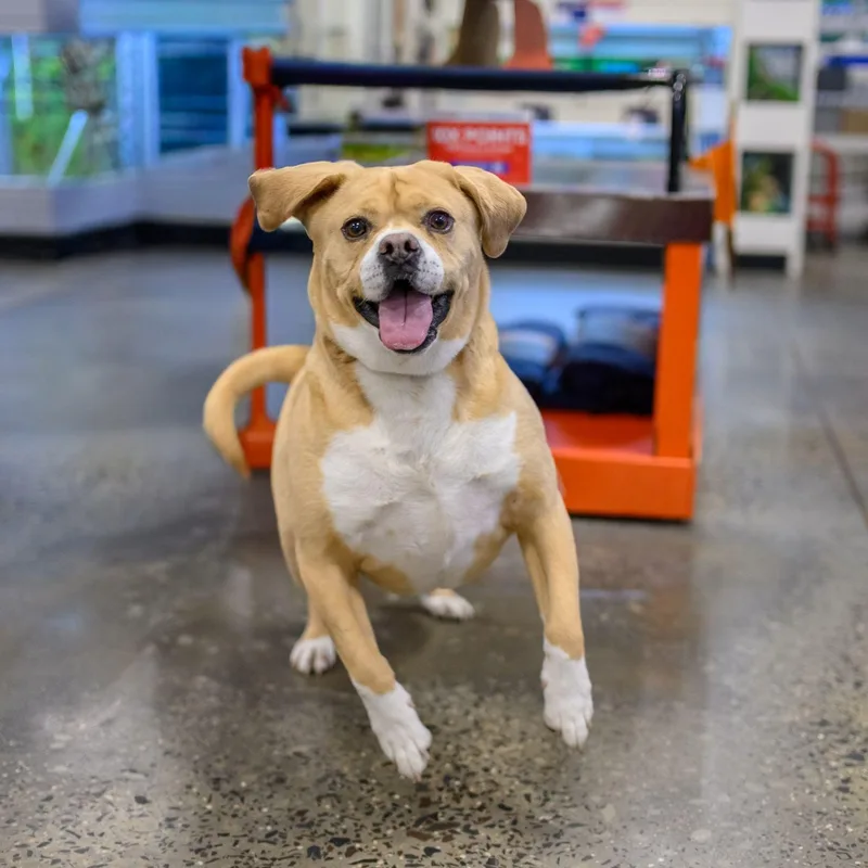 Wally & Junior thumbnail 5