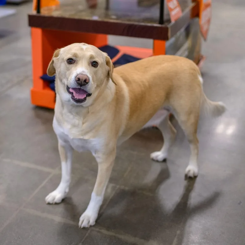 Wally & Junior thumbnail 6