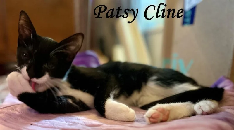Patsy Cline thumbnail 4