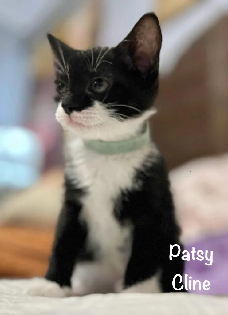 Patsy Cline thumbnail 5