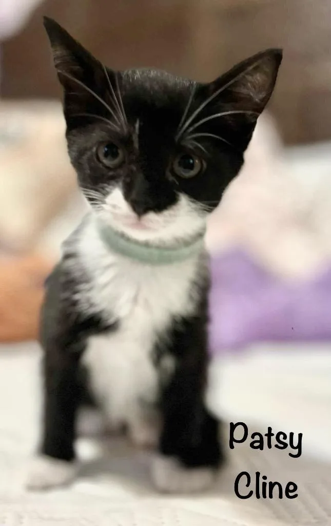 Patsy Cline thumbnail 6