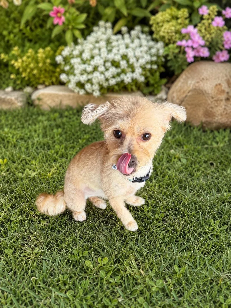 Bailey thumbnail 2