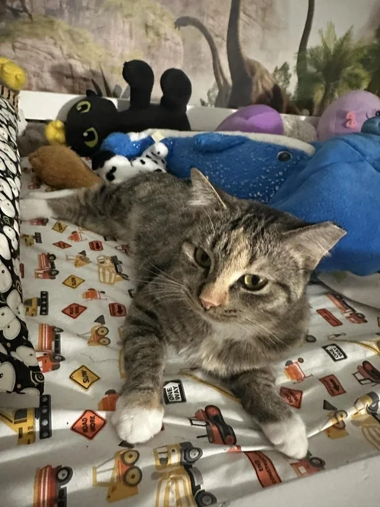 Princess Peach Iii thumbnail 2