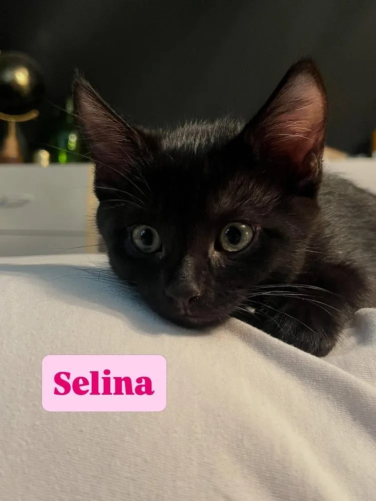 Selina thumbnail 3