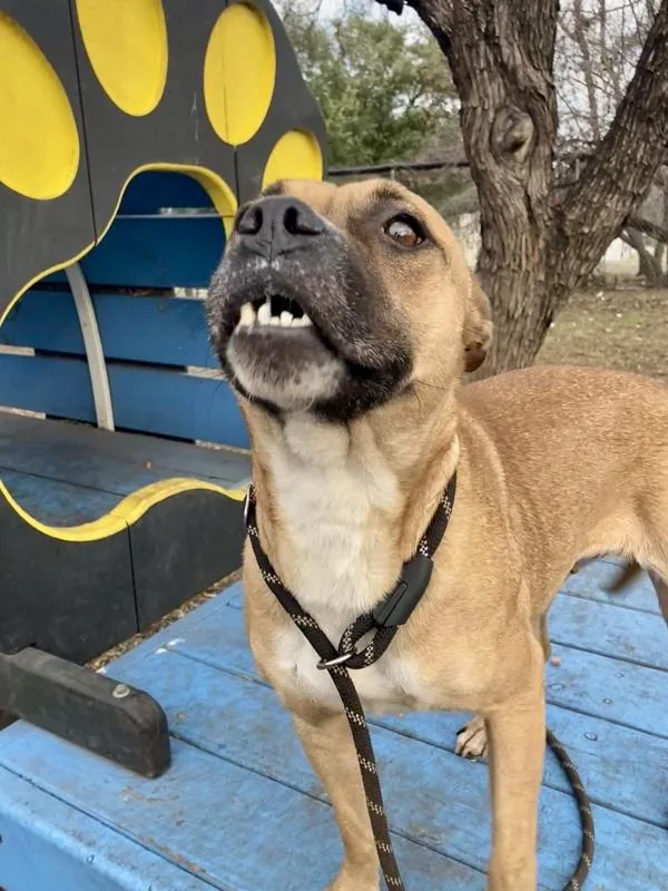 Princess Peach thumbnail 2