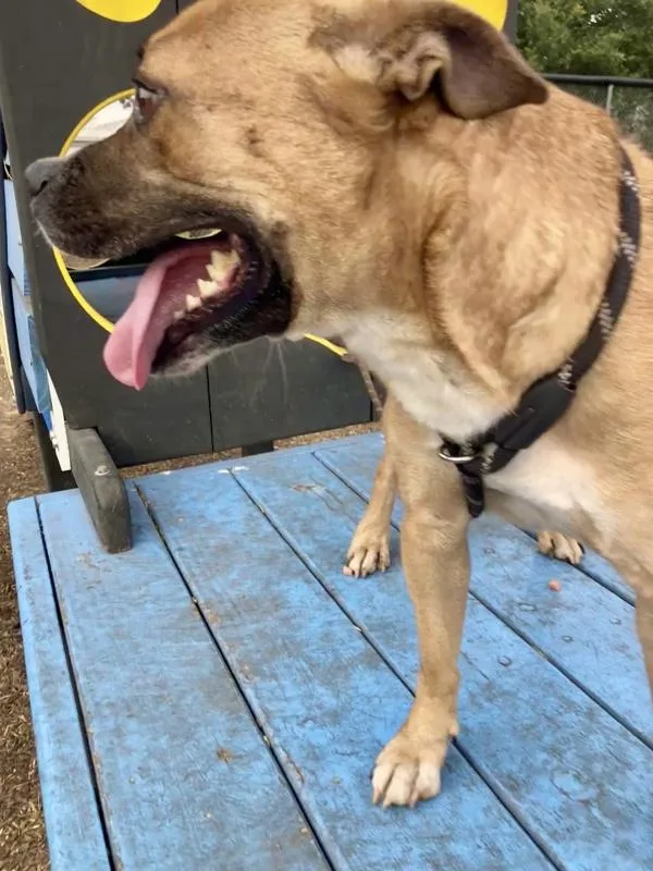 Princess Peach thumbnail 3