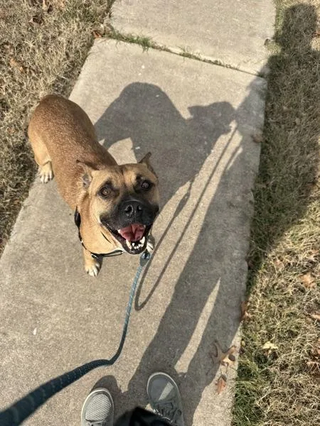 Princess Peach thumbnail 4