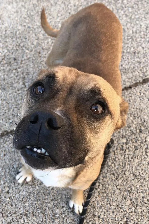 Princess Peach thumbnail 5