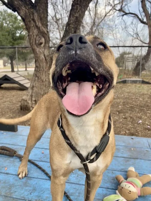 Princess Peach thumbnail 6