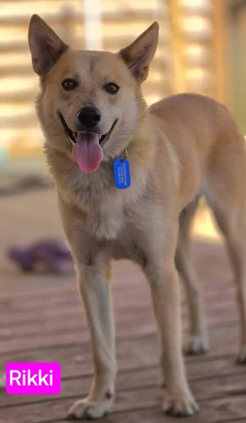 Rikki thumbnail 3