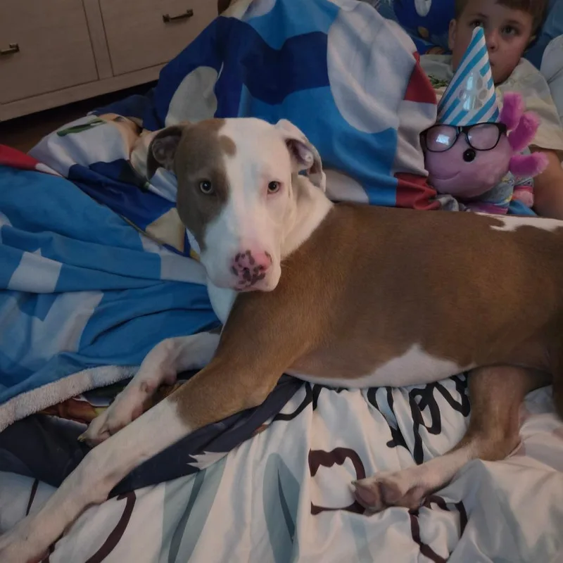 Franklin thumbnail 2