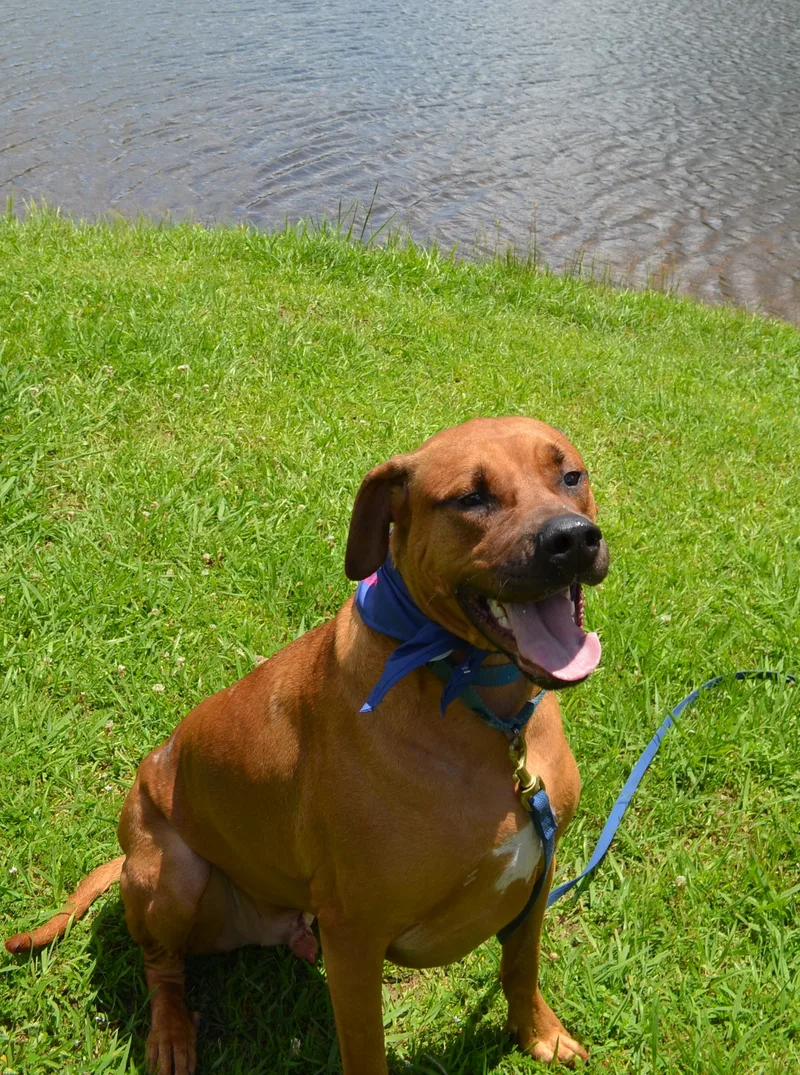 Lincoln Leroy thumbnail 2