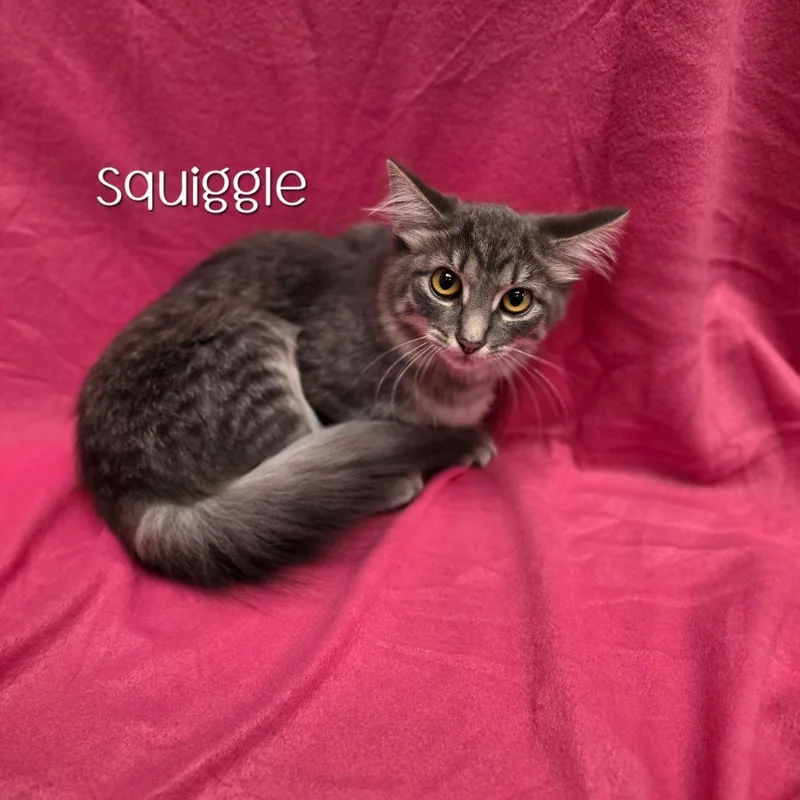Squiggle thumbnail 2