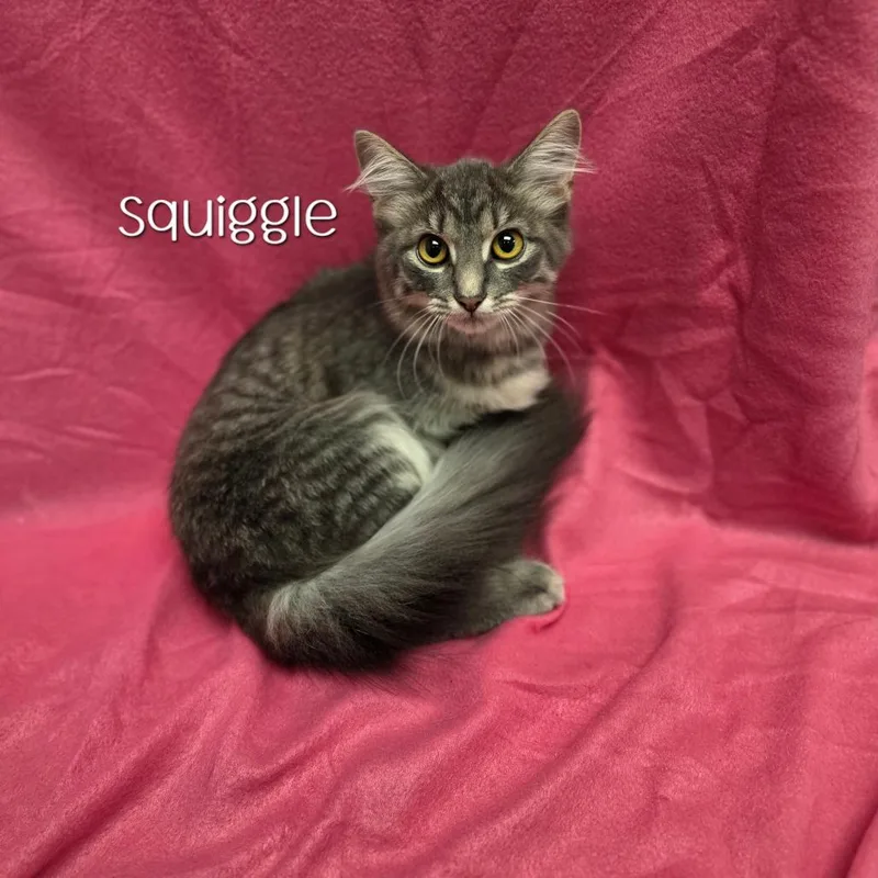 Squiggle thumbnail 3
