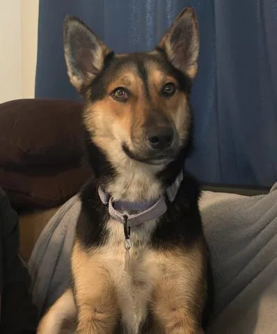 Pinky  Urgent! Longtime