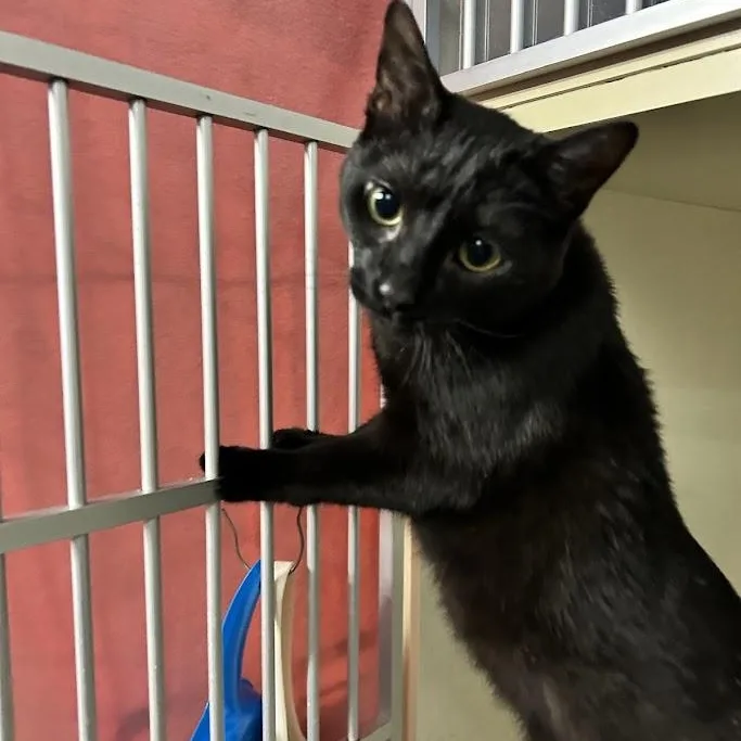 Constance thumbnail 2