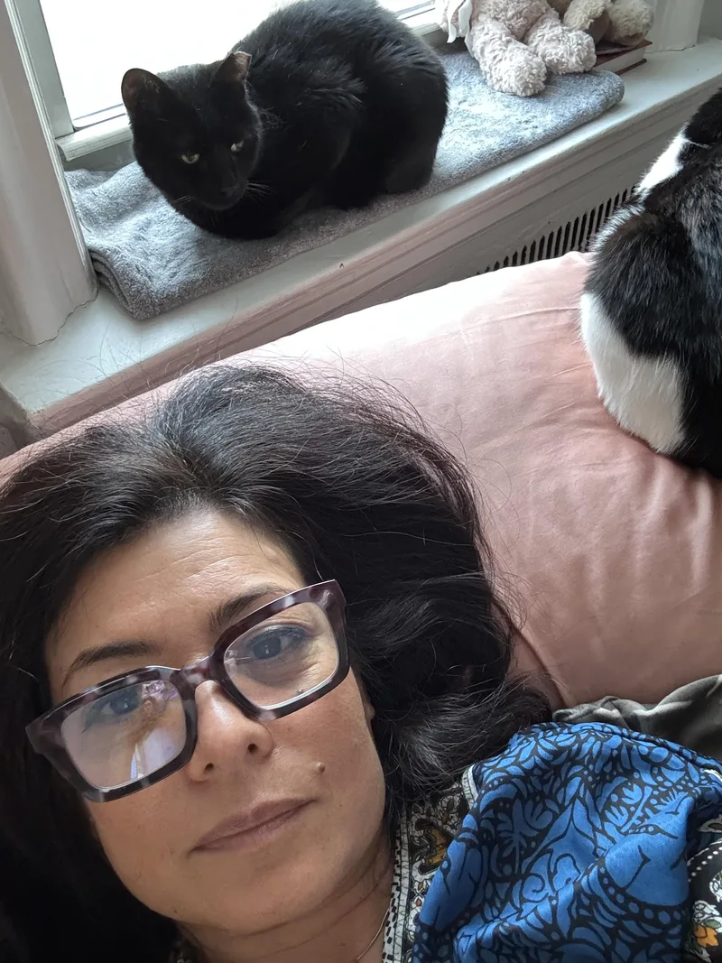 Lantern & Kiki Bonded thumbnail 5