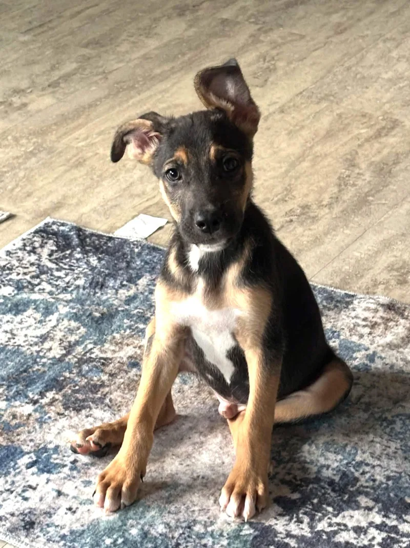 Murphy