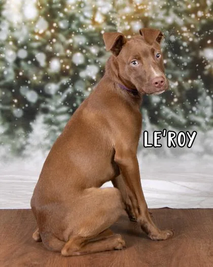 Le`Roy thumbnail 2