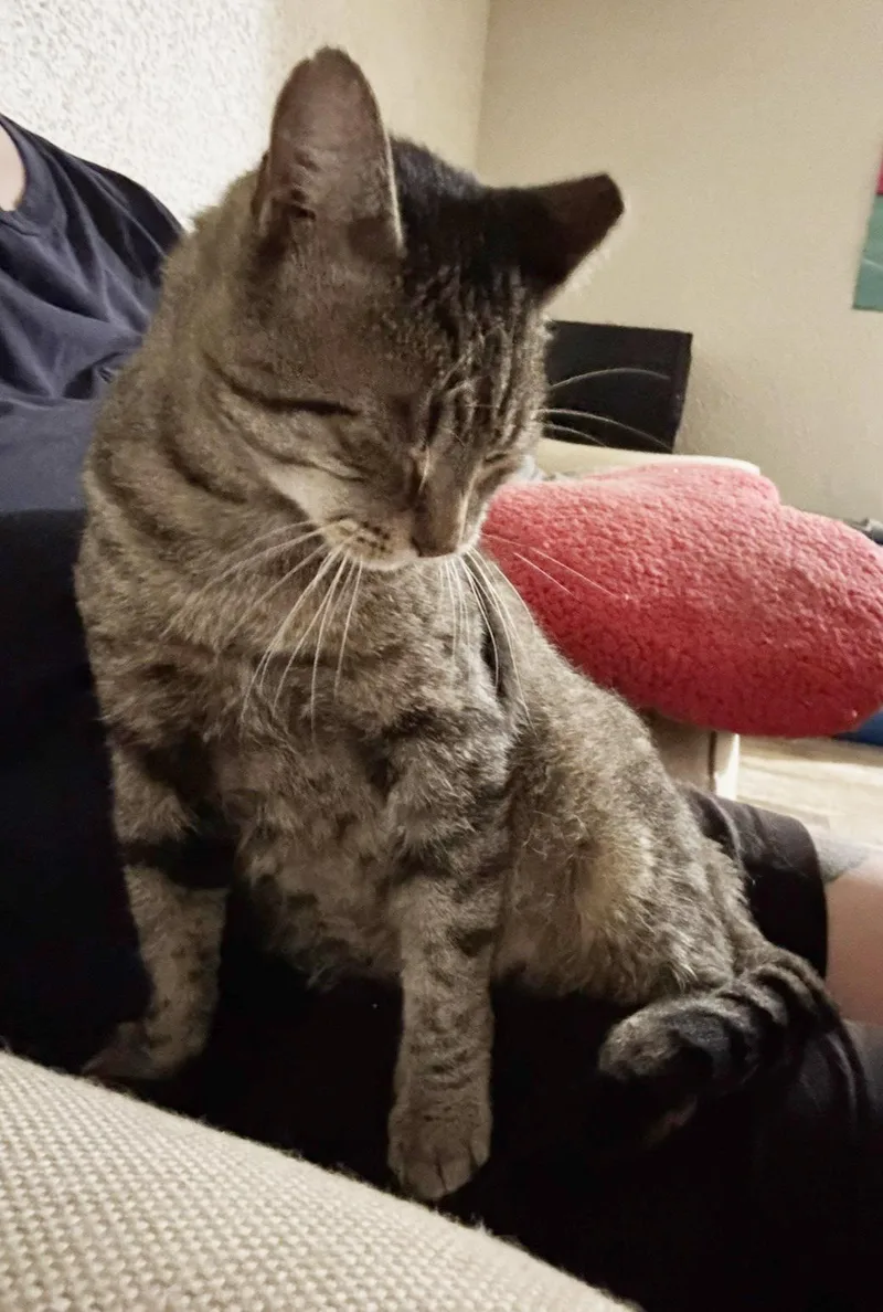 Vinny Robinson thumbnail 2