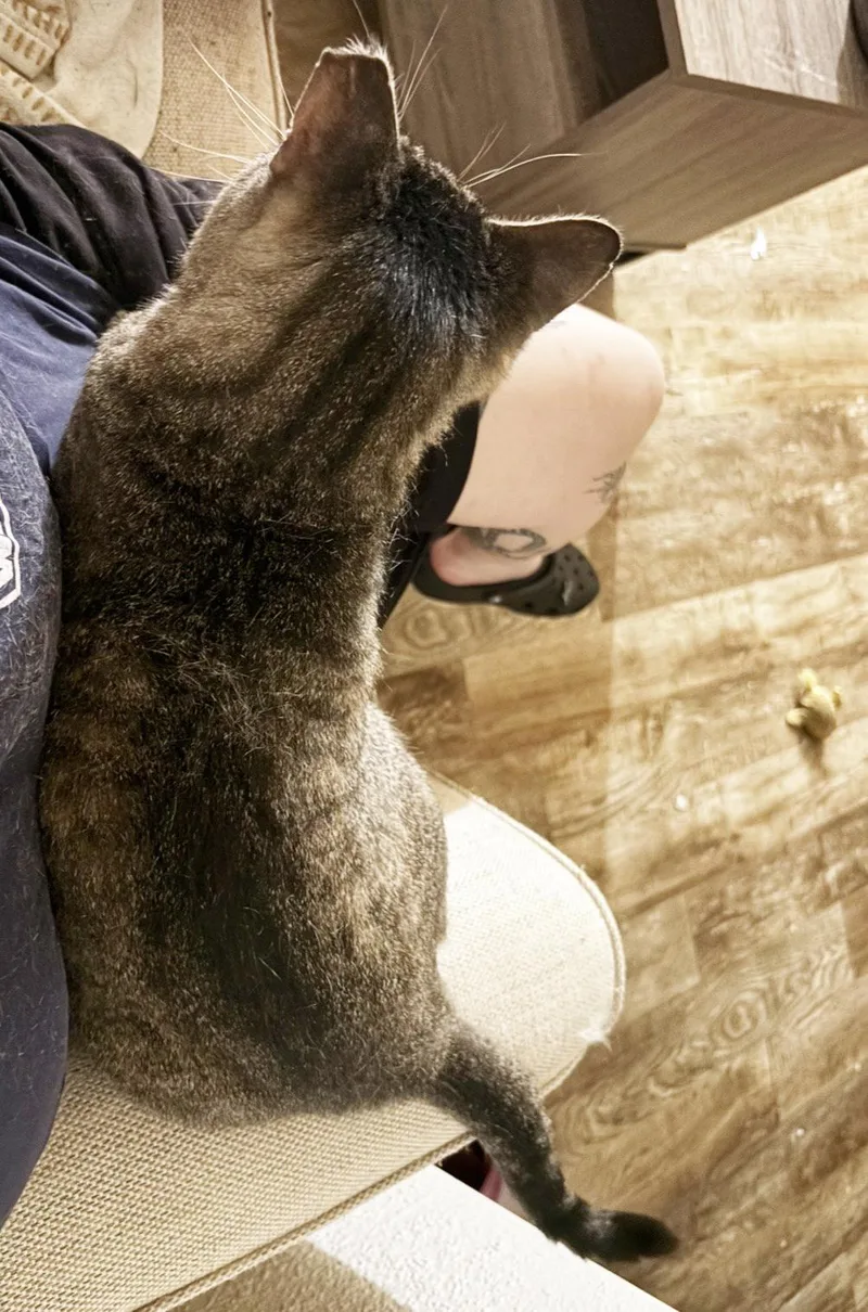 Vinny Robinson thumbnail 3