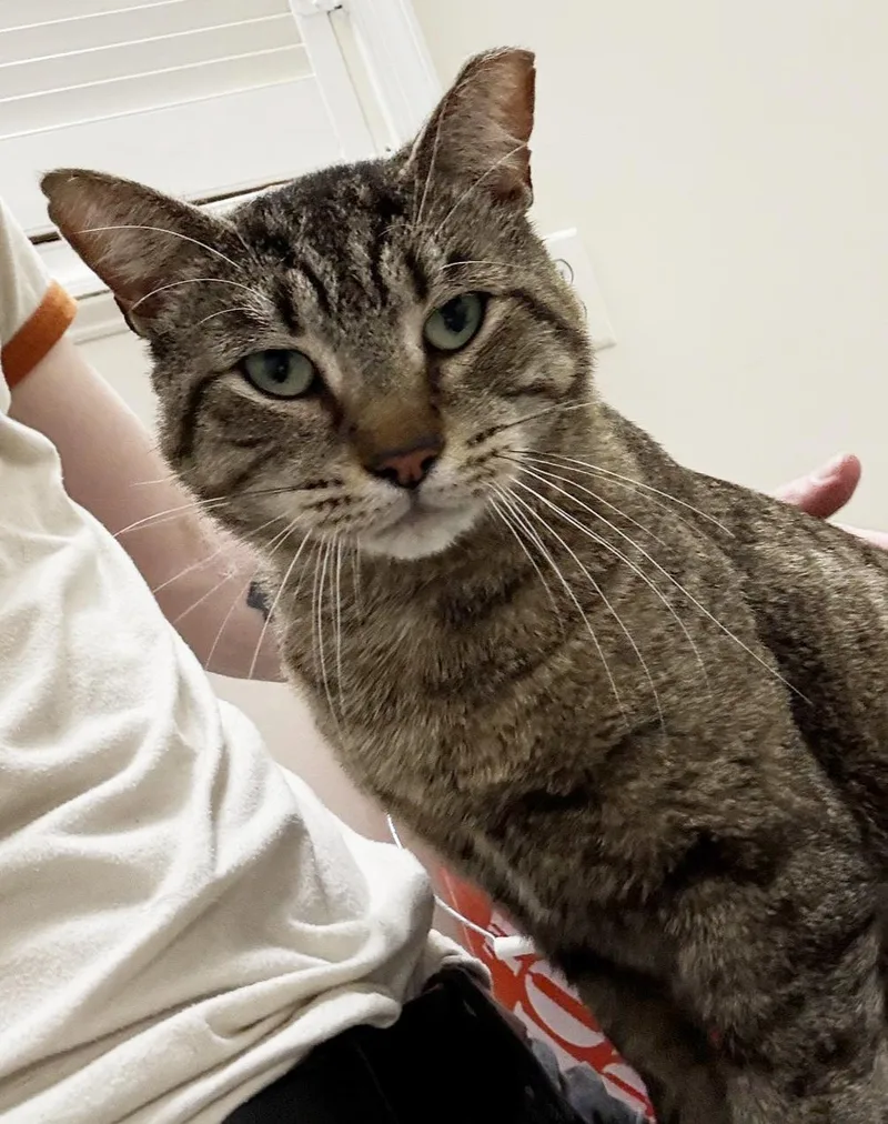 Vinny Robinson thumbnail 4